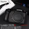 LUMIX GH5s