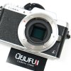 Lumix GF8