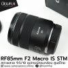 RF85mm F2 Macro IS STM