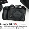 Lumix GH5s