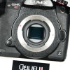 Lumix GH5s