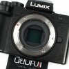 Lumix G100D