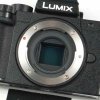 Lumix G100V