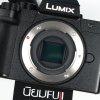 Lumix G100D