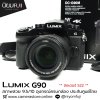 Lumix G90