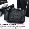 LUMIX GH5