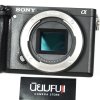 Sony A6400