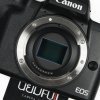 Canon EOS M50II