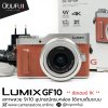 Lumix GF10