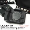 Lumix G85