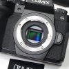 Lumix G90