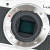 LUMIX GF10