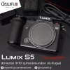 Lumix S5