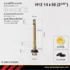 สกรูปลายสว่านหัวหกเหลี่ยม H12 14x55 มม. (2-1/4 นิ้ว) ชุบซิงค์รุ้ง