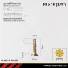 สกรูปลายสว่านหัวเตเปอร์ F8x19 มม. (3/4 นิ้ว) ชุบซิงค์รุ้ง