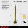 สกรูปลายสว่านหัวหกเหลี่ยม H12 14x65 มม. (2-1/2 นิ้ว) ชุบซิงค์รุ้ง