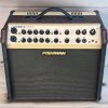Fishman Loud box Artist