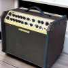 Fishman Loud box Artist