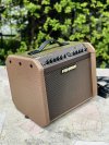 FISHMAN LOUDBOX MINI CHARGE