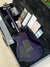 PRS S2 Custom 22