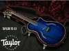 Taylor T5-S1 Hollo Body