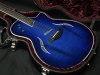 Taylor T5-S1 Hollo Body