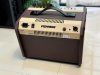 Fishman Loud box mini