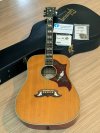 Gibson Dove
