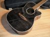 Takamine TDP-70S SBN