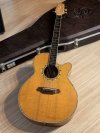 Takamine DSP-530VN