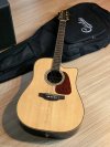 Takamine GD-93CE net