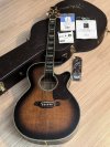 Takamine DSP-500VTS