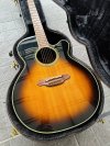 Takamine PTU-541C TBS