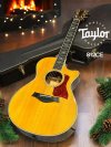 Taylor 812CE