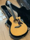 Taylor512c