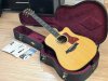 Taylor 810CE