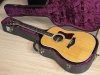 Taylor 810 Stanadred Series