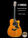 YAMAHA A5R