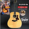 Taylor 810 Stanadred Series