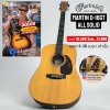 Martin D-16gt All Solid