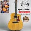 Taylor 210CE DLX