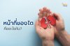 หน้าที่ของไตคืออะไรกัน? หน้าที่ของไตคืออะไรกัน?