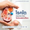 หลักการดูแลไต ตามแนวทางธรรมชาติบำบัด หลักการดูแลไต ตามแนวทางธรรมชาติบำบัด