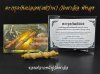 ตะกรุดกันปลองแช่ว่าน เขาอ้อ จ.พัทลุง​ (ปิด-ปัด-กัน-แก้)