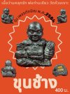 ขุนช้างเจ้าทรัพย์ รุ่น เพชรทักษิณ พ่อท่านเขียว วัดห้วยเงาะ พ.ศ.2564 ว่าน