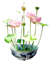 ดอกไม้
