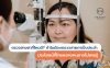 ตรวจสายตาที่ไหนดี? ทำไมต้องตรวจสายตาเป็นประจำ ประโยชน์ที่ใครหลายคนอาจยังไม่เคยรู้ ตรวจสายตาที่ไหนดี? ทำไมต้องตรวจสายตาเป็นประจำ ประโยชน์ที่ใครหลายคนอาจยังไม่เคยรู้