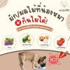 ผักและผลไม้ที่น้องหมาไม่ควรกิน ผักและผลไม้ที่น้องหมาไม่ควรกิน