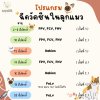 โปรแกรมการฉีดวัคซีนในสุนัข โปรแกรมการฉีดวัคซีนในสุนัข