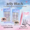 ขนตามีกาวในตัว Jelly Black